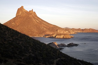 Sonora